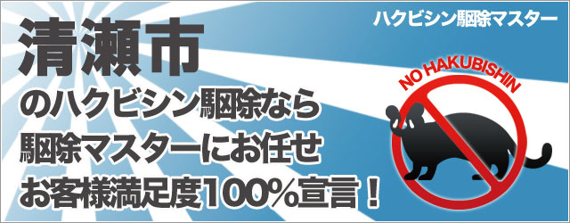 のハクビシン駆除なら駆除マスターにお任せ!お客様満足度100%宣言