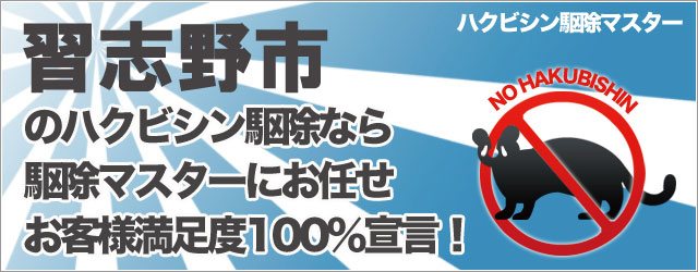 のハクビシン駆除なら駆除マスターにお任せ!お客様満足度100%宣言