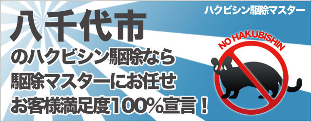 �̃n�N�r�V���쏜�Ȃ�쏜�}�X�^�[�ɂ��C���I���q�l�����x100%�錾