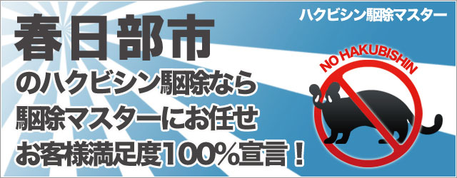 �̃n�N�r�V���쏜�Ȃ�쏜�}�X�^�[�ɂ��C���I���q�l�����x100%�錾